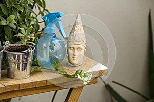 Decorative objects, plants and pots on an unvarnished wooden table