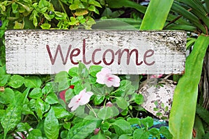 Decorative old white wood welcome sign with text brown paint in garden background