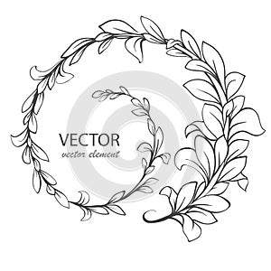 Decorative ornament with leaves. Vector decorative branch.