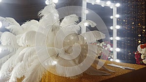 Decorative ostrich feathers on a gold table next to a make-up mirror