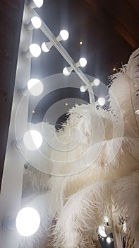 Decorative ostrich feathers on a gold table next to a make-up mirror