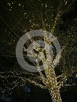 Decorative outdoor string lights bulb hanging on tree in the garden at night time - decorative Christmas lights bokeh, New year