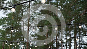 Decorative outdoor string lights hanging in the garden at night or evening time