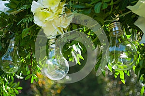 Decorative outdoor string lights hanging on tree in the garden. Light bulb decor in outdoor party.