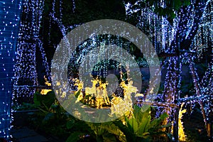 Decorative outdoor string lights hanging on tree in the garden at night time festivals season