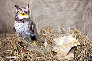 Decorative owl near stack of books