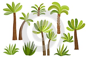 Decorative palm trees set.