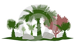 Decorative palm trees silhouette, beautiful garden, stone. Vector illustration