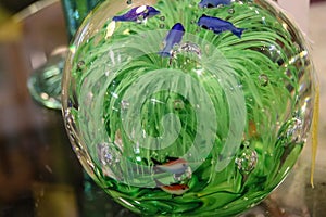 Retro blown glass green paper weight with fish swimming around inside. photo