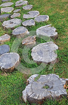 Decorative path across the lawn composed of stumps