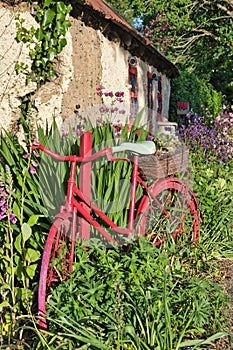 Decorative pedal bike in garden of an Irish cottege