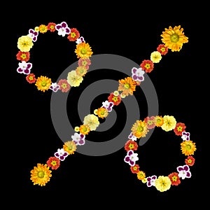 Decorative percentage symbol from color flowers