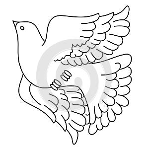 Decorative pigeon flies up spreading its wings, outline drawing, isolated object on a white background,