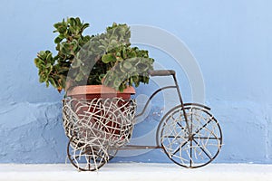 Decorative plant pot