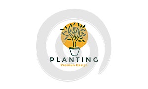 Decorative plant with sunset logo vector symbol icon design illustration