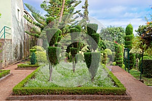Decorative plants in Jardim Botanico Garden on Portuguese island of Madeira