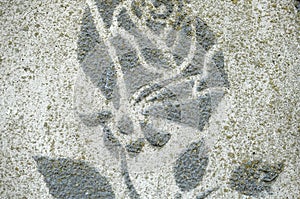 Decorative plaster with image of gray rose on the wall of house. Background or texture. Close-up, soft focus