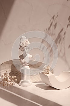 Decorative plate, plaster girl face and gypsophila flowers on beige.