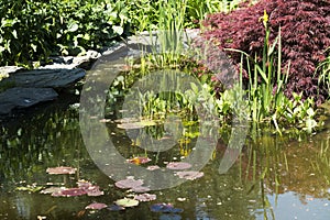 Decorative pond