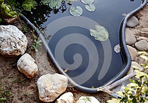 Decorative pond with green leaves in garden