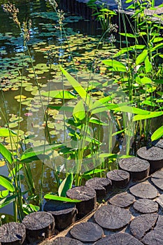 Decorative pond in the park