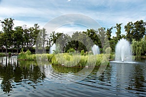 A decorative pond with small islands with reeds and fountains.