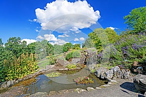 Decorative pond with waterfall and flowers at Oslo city park