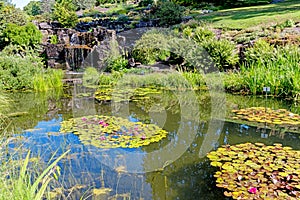 Decorative pond with waterfall and lilly at city park