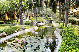 Decorative pool in a beautiful tropical garden