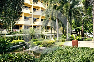 Decorative pool in a beautiful tropical garden