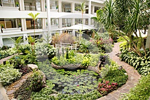 Decorative pool in a beautiful tropical garden