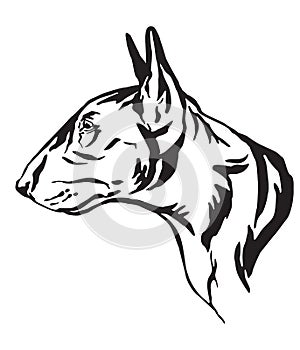 Decorative portrait of Bull Terrier Dog vector illustration