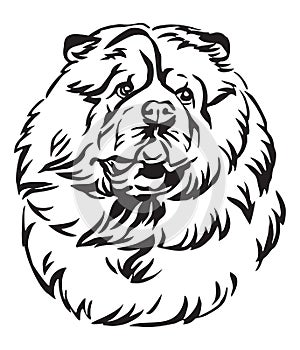 Decorative portrait of Chow Chow Dog vector illustration