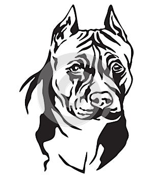 Decorative portrait of Dog American Staffordshire Terrier vector
