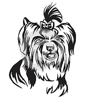 Decorative portrait of Dog Biewer Terrier vector illustration