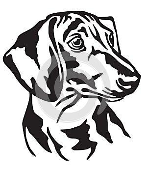 Decorative portrait of Dog Dachshund vector illustration