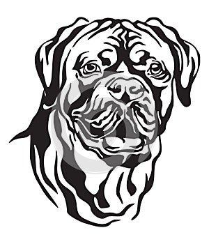 Decorative portrait of Dog Dogue de Bordeaux vector illustration