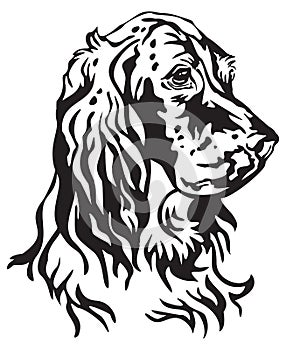 Decorative portrait of Dog English Setter vector illustration