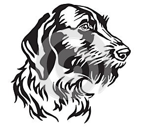 Decorative portrait of Dog German Wirehaired Pointer vector illustration photo