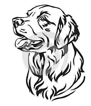 Decorative portrait of Dog Golden Retriever vector illustration
