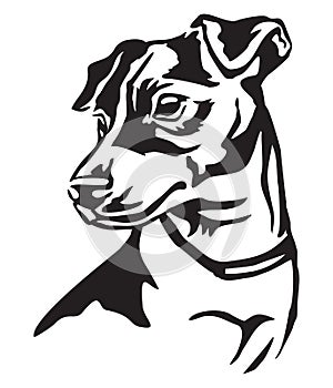 Decorative portrait of Dog Jack Russell Terrier vector illustration photo