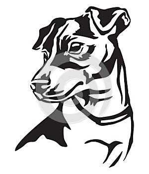 Decorative portrait of Dog Jack Russell Terrier vector illustration