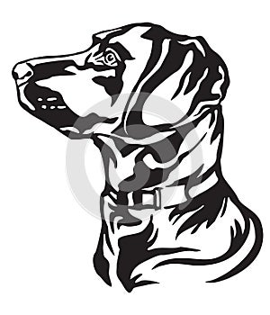Decorative portrait of Dog Labrador Retriever vector illustration