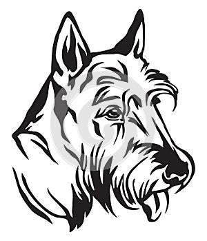 Decorative portrait of Dog Scottish Terrier vector illustration