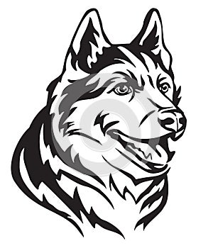 Decorative portrait of Dog Siberian Husky vector illustration