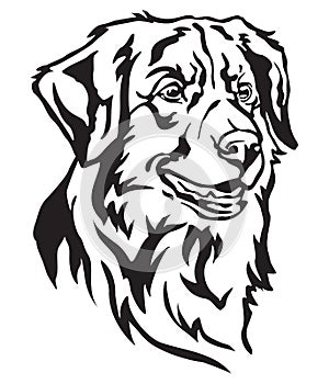 Decorative portrait of Dog Toller vector illustration photo