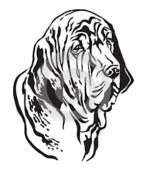 Decorative portrait of Fila Brasileiro Dog vector illustration