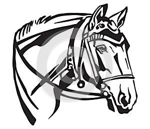 Decorative portrait of horse with bridle vector illustration