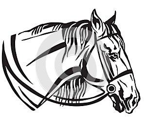 Decorative portrait of horse in profile with bridle vector illus