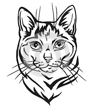 Decorative portrait of Mongrel Cat vector illustration